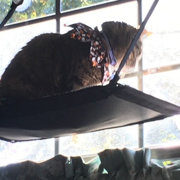 Meet your Posher, Megan - Picture 4 of 8